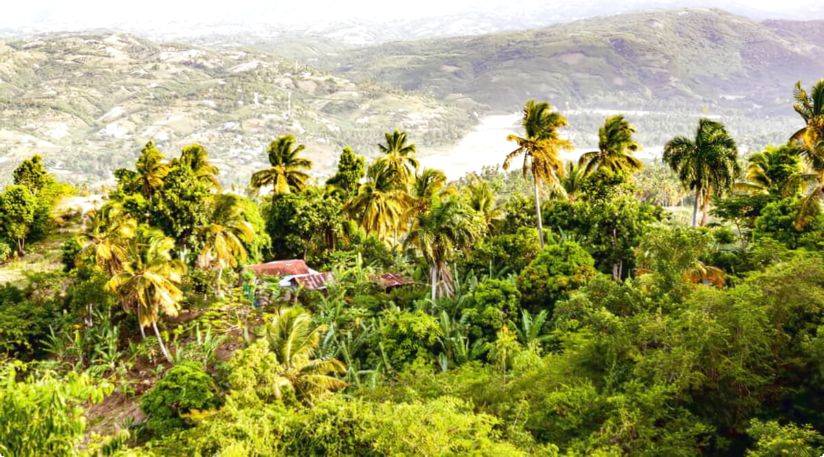 I nostri servizi di noleggio auto offrono una vasta selezione di veicoli a Jacmel.